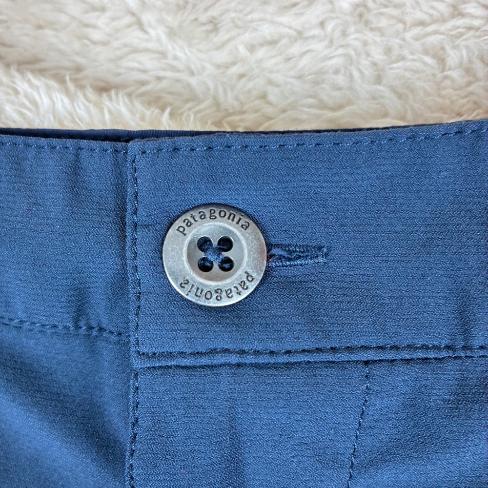 Patagonia Mens Altvia Trail Shorts 40 Blue Stretch Gorpcore Outdoor Utility Hike - Picture 4 of 14